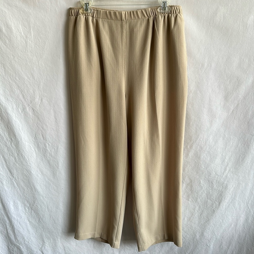 Draper’s & Damon’s tan pull-on straight leg pants, size PL